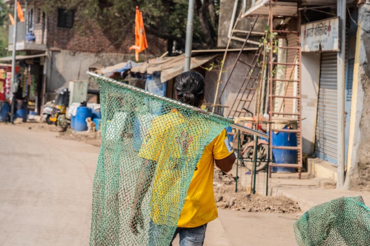 The world's deadliest disease