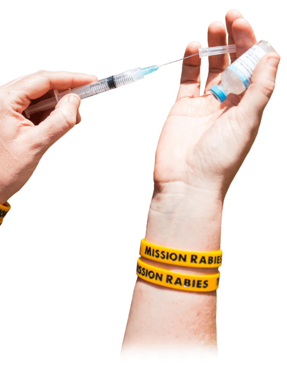 Vaccinating a person against rabies can cost up to 50 times more than a dog
