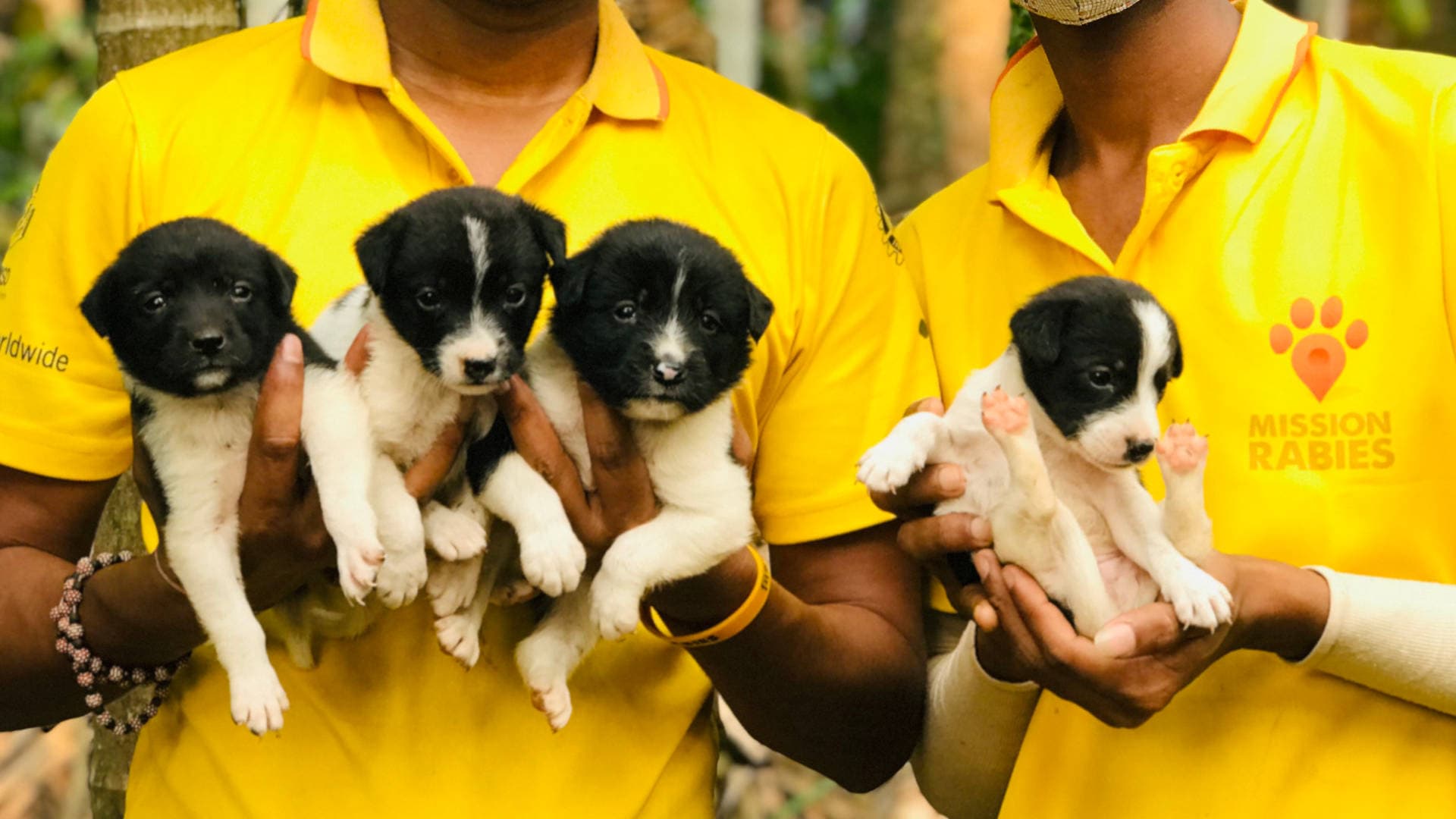 Sign up for our Walking Challenge