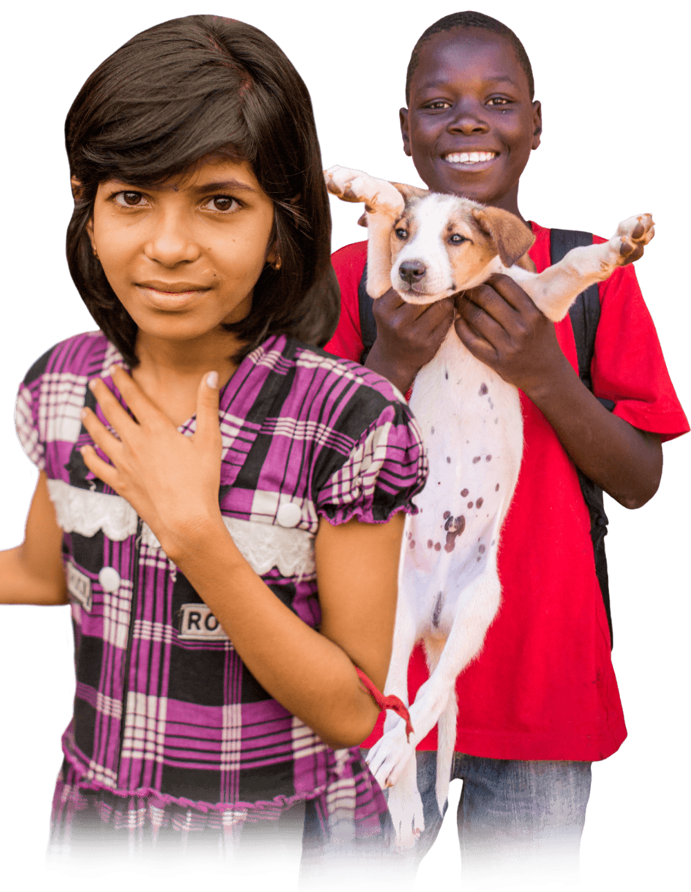 India and Malawi were two rabies endemic countries where we felt we could win significant victories in the global fight against rabies