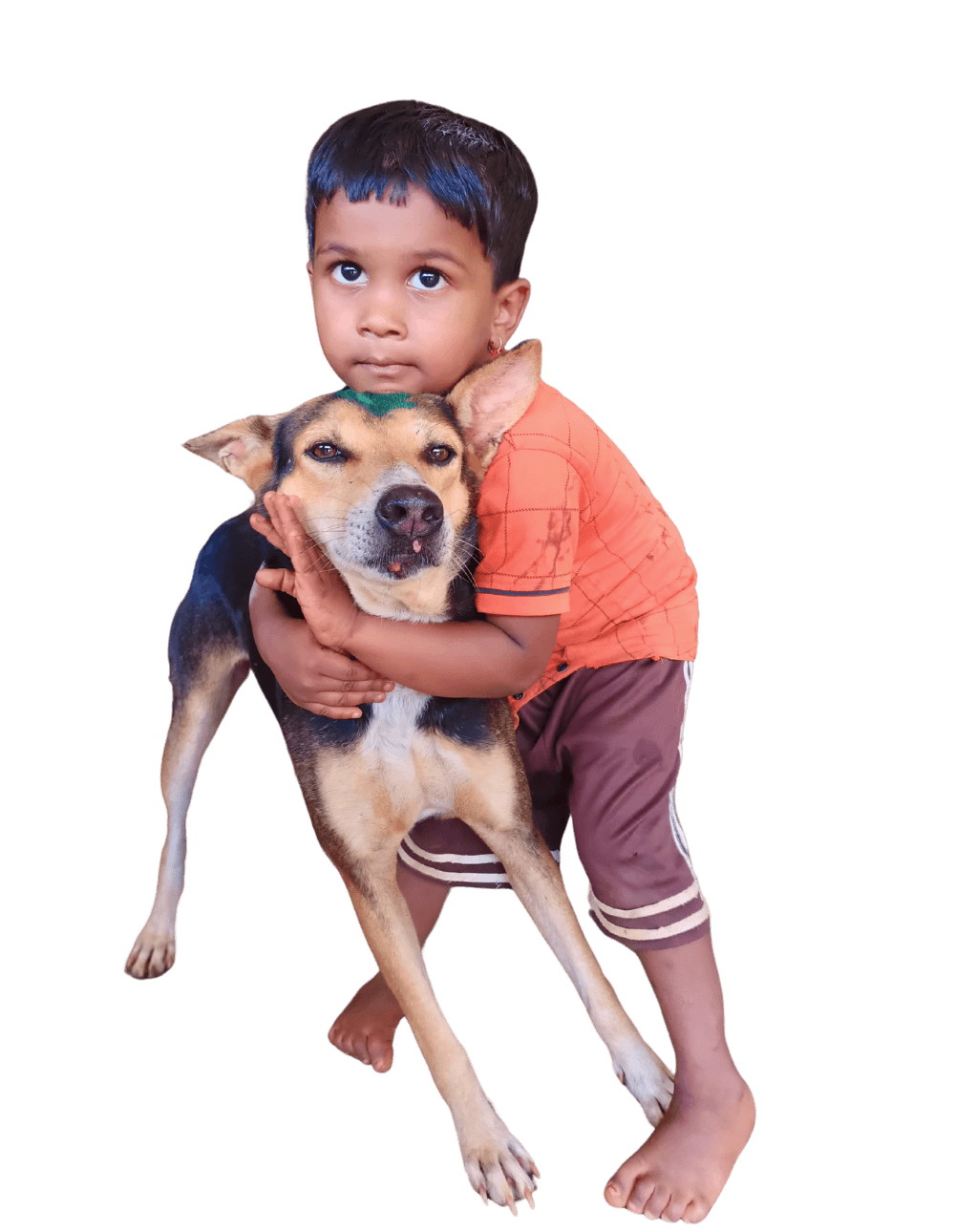 Mission Rabies | India