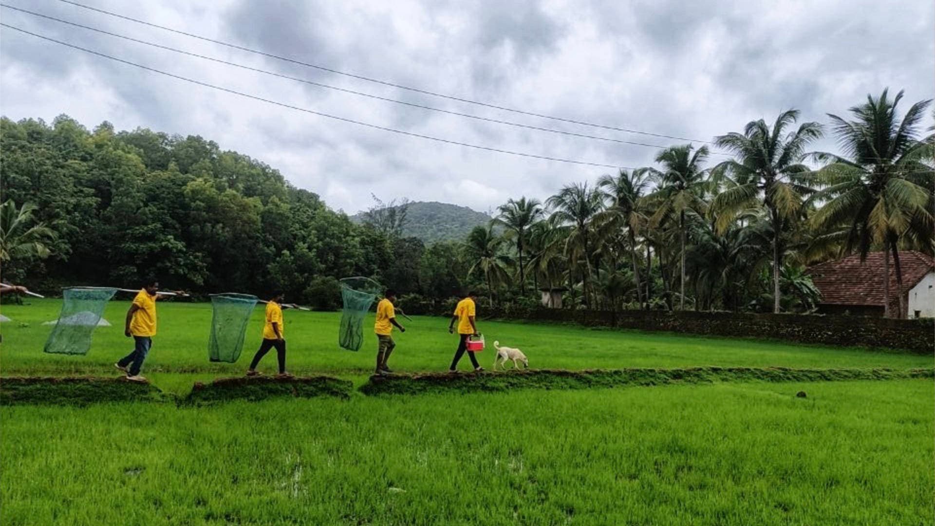 Mission Rabies | India