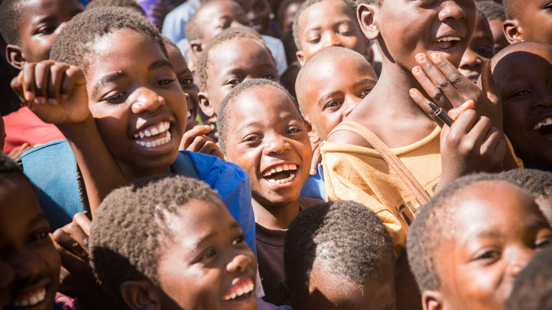 Fighting for a Rabies Free World