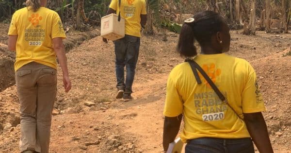 Mission Rabies | Home